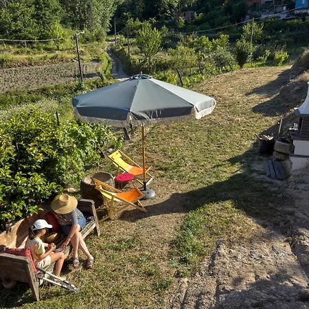 Quinta Da Peca Douro Vinhateiro 维拉·雷阿尔 外观 照片