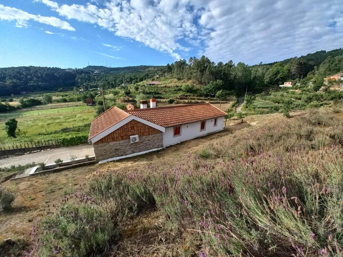 Quinta Da Peca Douro Vinhateiro 维拉·雷阿尔 外观 照片