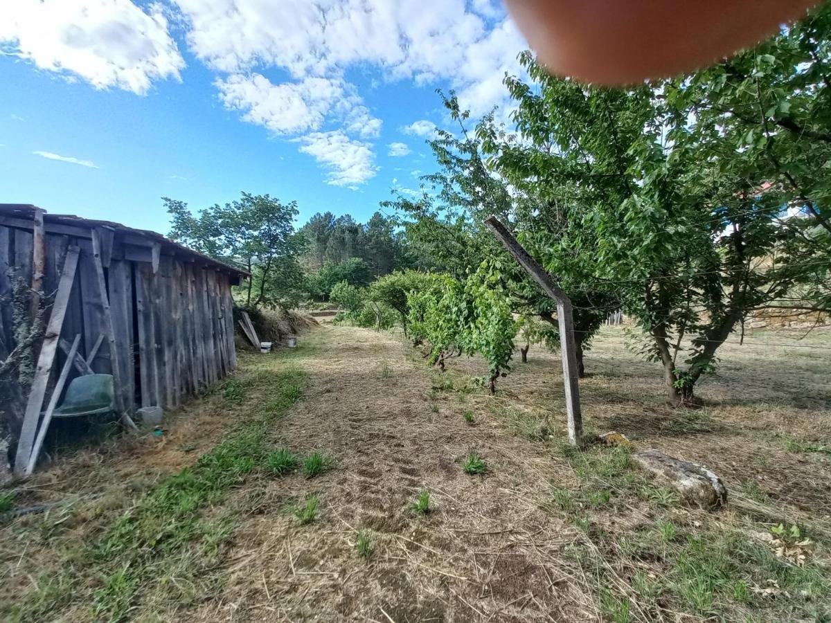 Quinta Da Peca Douro Vinhateiro 维拉·雷阿尔 外观 照片