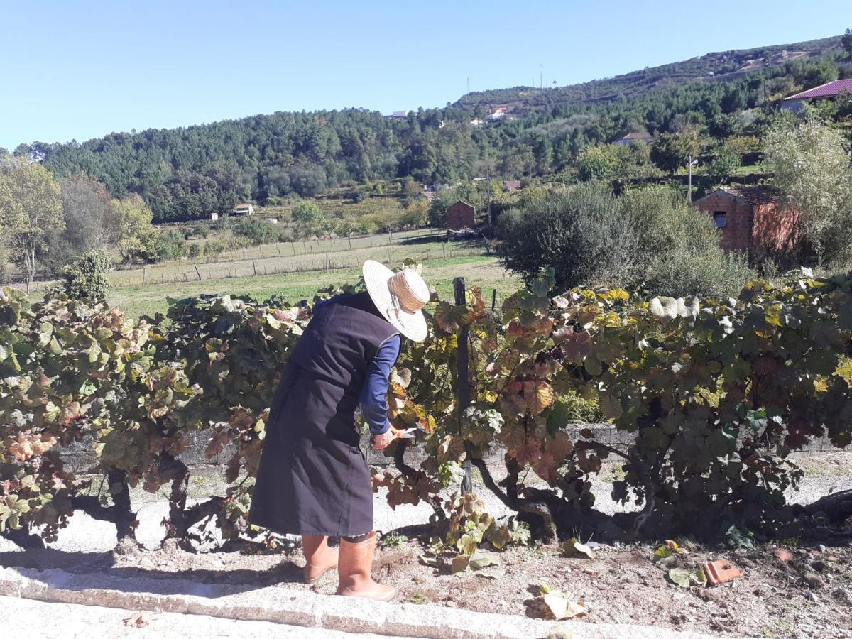 Quinta Da Peca Douro Vinhateiro 维拉·雷阿尔 外观 照片