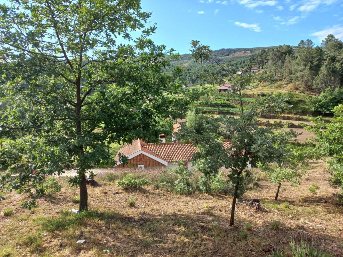 Quinta Da Peca Douro Vinhateiro 维拉·雷阿尔 外观 照片