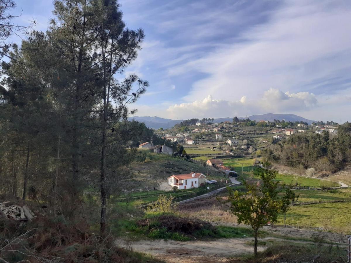 Quinta Da Peca Douro Vinhateiro 维拉·雷阿尔 外观 照片