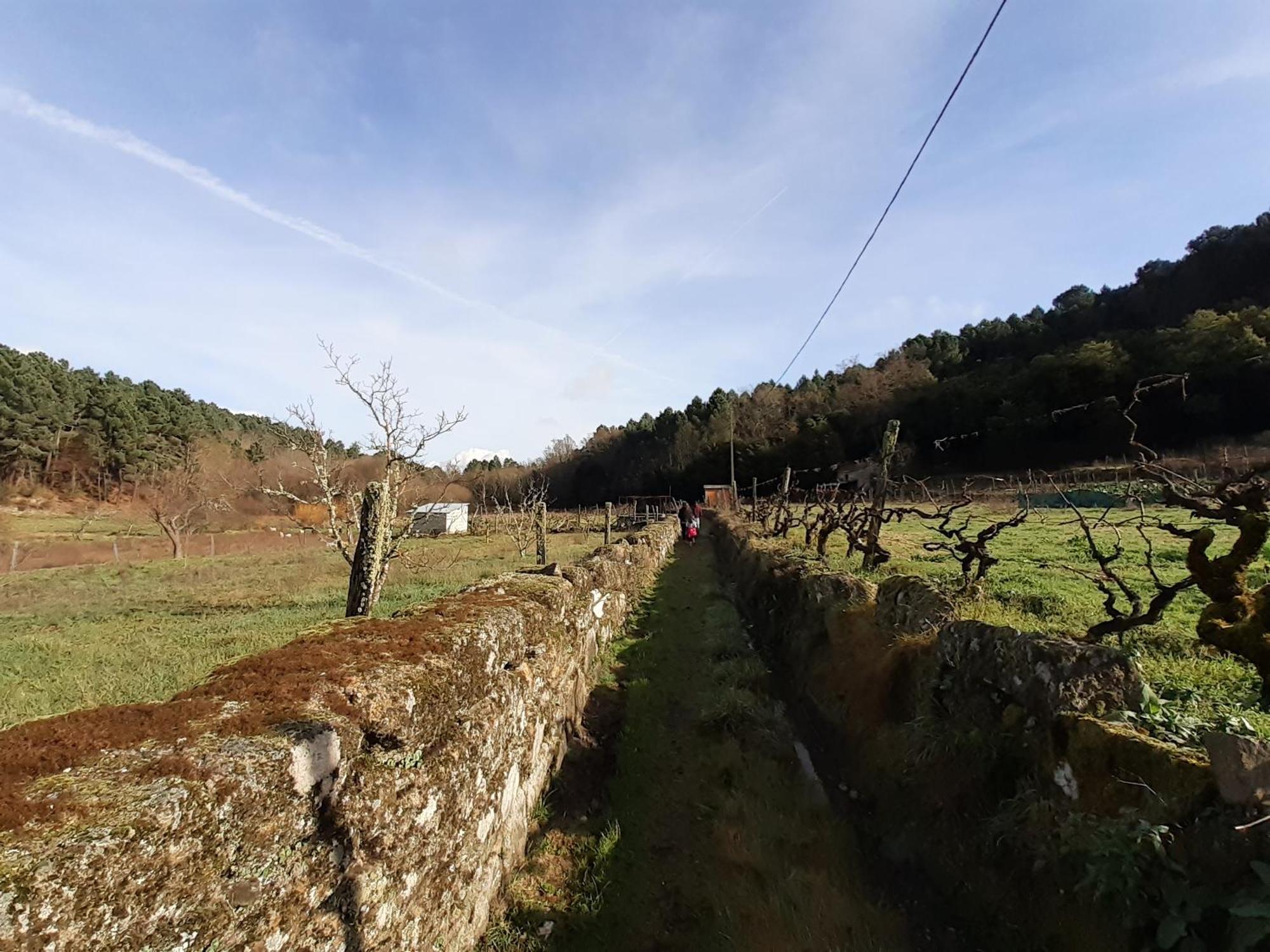 Quinta Da Peca Douro Vinhateiro 维拉·雷阿尔 外观 照片
