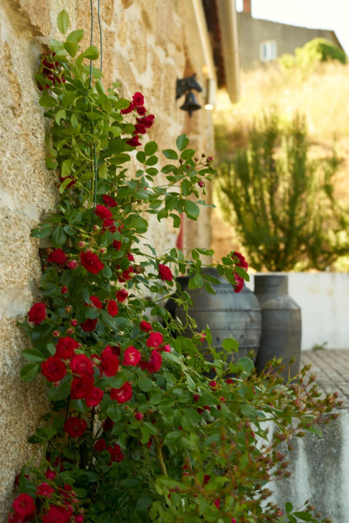 Quinta Da Peca Douro Vinhateiro 维拉·雷阿尔 外观 照片