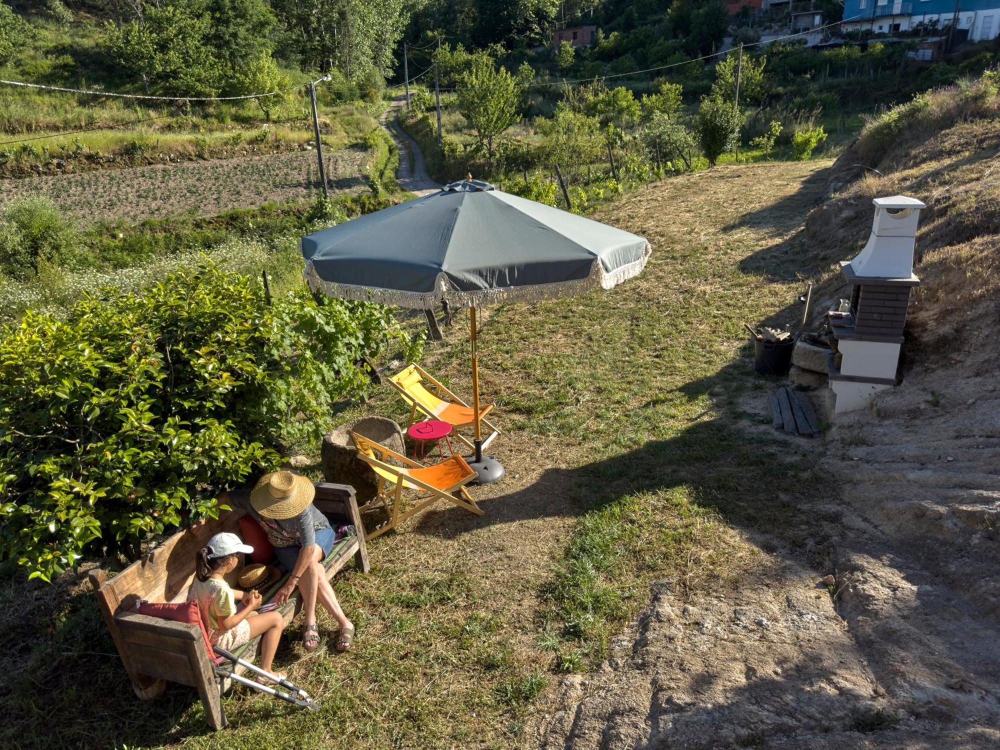 Quinta Da Peca Douro Vinhateiro 维拉·雷阿尔 外观 照片